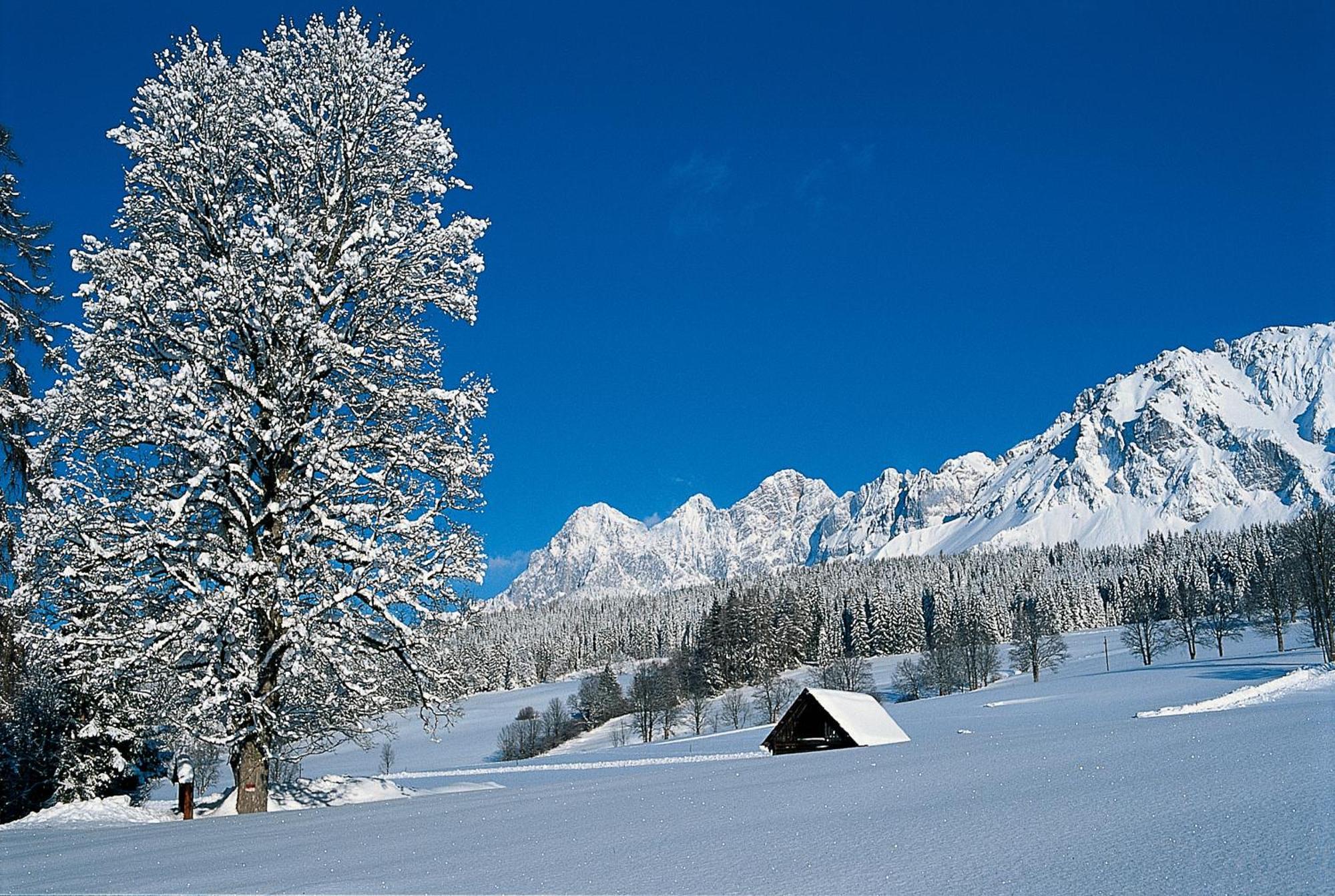 Bio-Holzhaus Und Landhaus Heimat Рамзау Экстерьер фото